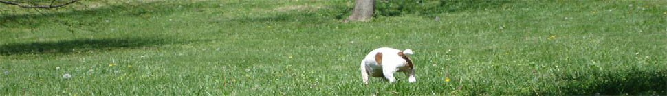 Andy Blubaugh News header image 2