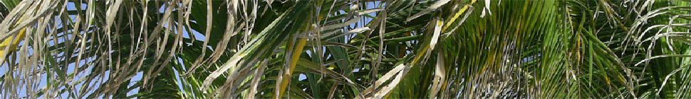Andy Blubaugh News header image 3